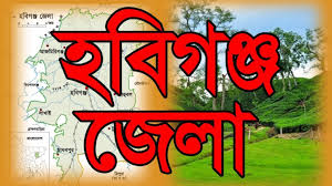 শায়েস্তাগঞ্জে গাড়ি চাপায় র‍্যাব সদস্য নিহত