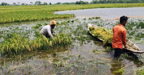 বাঁধে বাঁধে লড়ছেন কৃষকরা