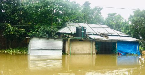 জগন্নাথপুরে এখনো তলিয়ে আছে গ্রামের পর গ্রাম, বাড়ী ছাড়া লাখো মানুষ