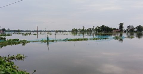 সুনামগঞ্জে ভেসে গেছে দুই হাজার কোটি টাকার মাছ