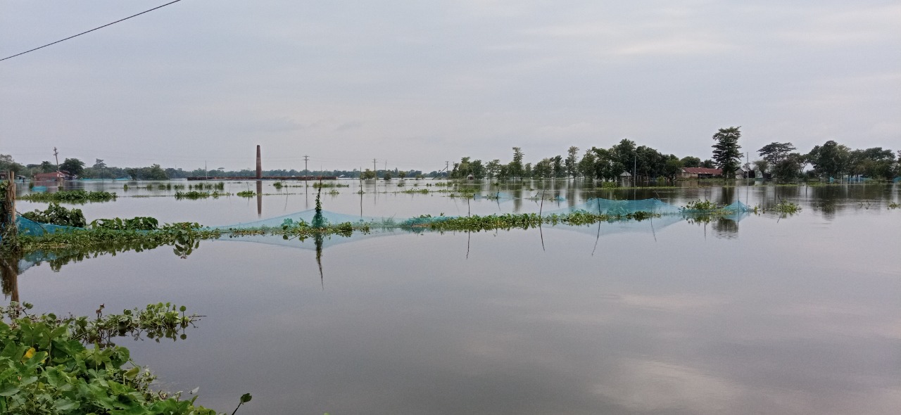 সুনামগঞ্জে ভেসে গেছে দুই হাজার কোটি টাকার মাছ