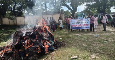 জগন্নাথপুরে পুড়ানো হলো নিষিদ্ধজাল