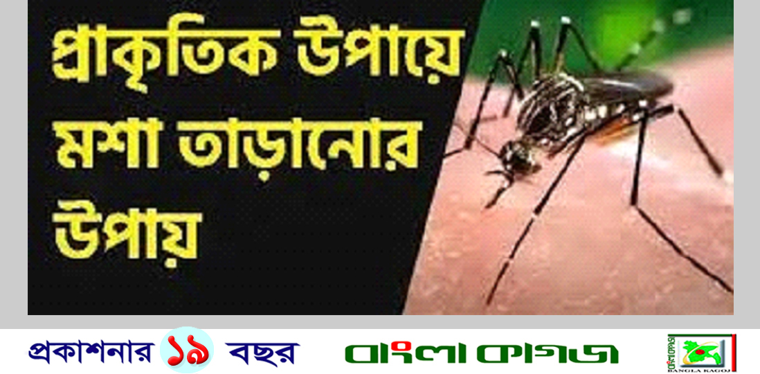 মশা তাড়ানোর ঘরোয়া ৭ উপায়