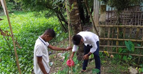 পরিবেশ সুরক্ষায় স্কুলে স্কুলে বৃক্ষ রোপন