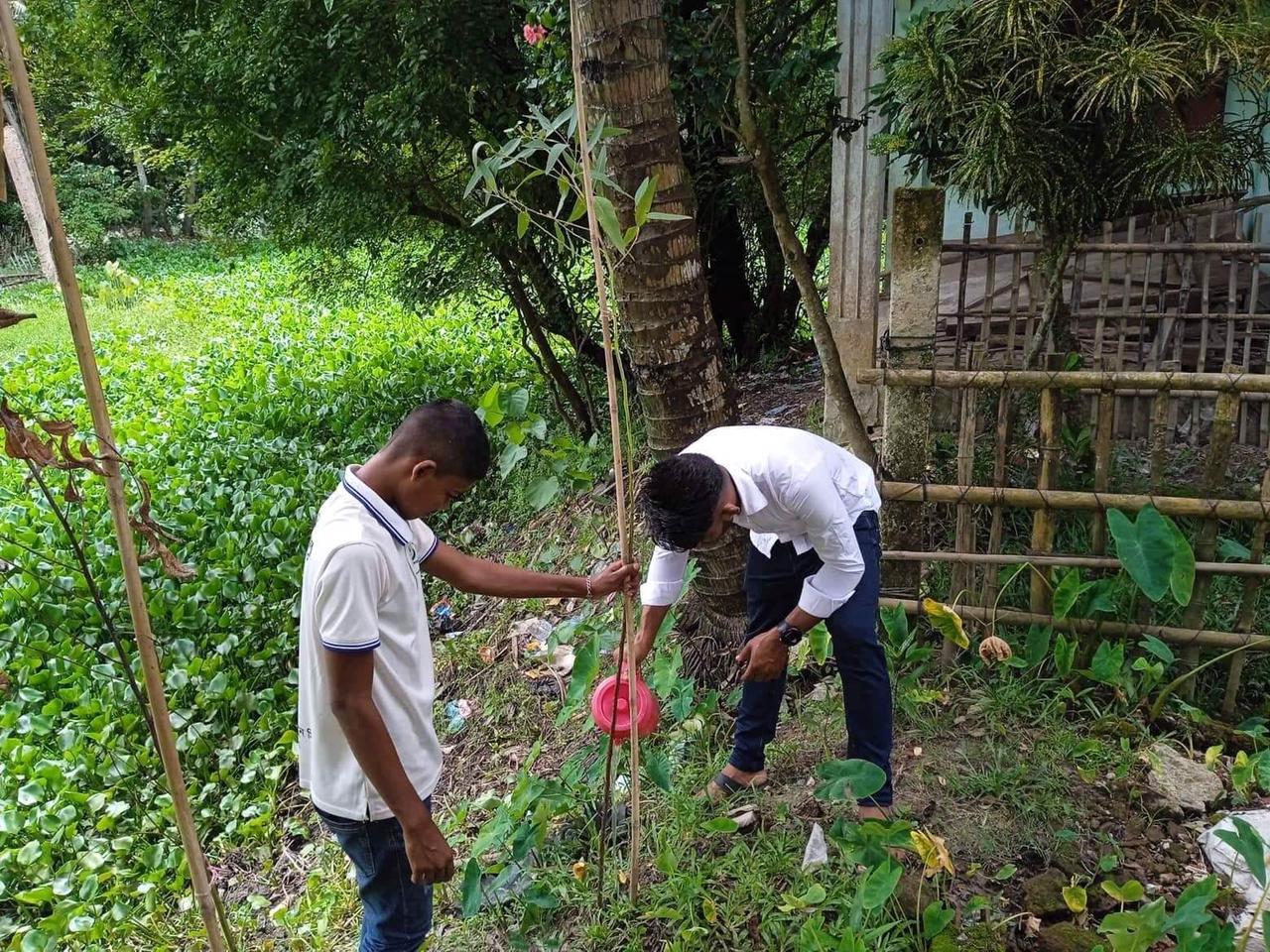 পরিবেশ সুরক্ষায় স্কুলে স্কুলে বৃক্ষ রোপন