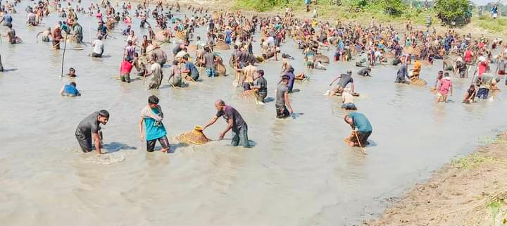 জগন্নাথপুরে পলো বাওয়া উৎসব, লোকে লোকারণ্য বিলপাড়