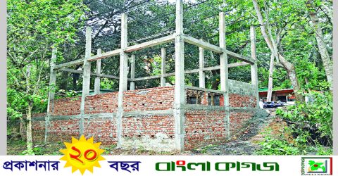 জাতীয় উদ্যান বনাঞ্চলে পাঁকা ঘর নির্মাণ:  হুমকির মুখে জীববৈচিত্র্য