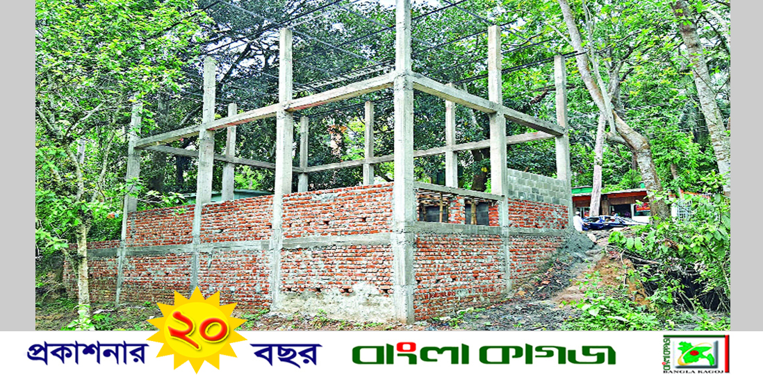 জাতীয় উদ্যান বনাঞ্চলে পাঁকা ঘর নির্মাণ:  হুমকির মুখে জীববৈচিত্র্য