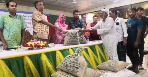 লাখাইয়ে ক্ষুদ্র ও প্রান্তিক চাষীদের মধ্যে বিনামূল্যে সার ও বীজ বিতরণ