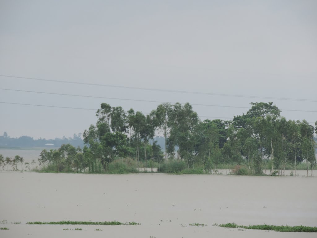 সিলেটে বন্যার আশংকা