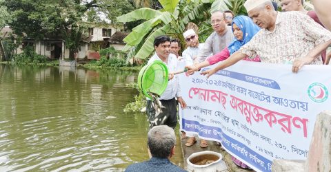 বিশ্বনাথে এক লাখ ৫৫হাজার  টাকার পোনা মাছ অবমুক্ত