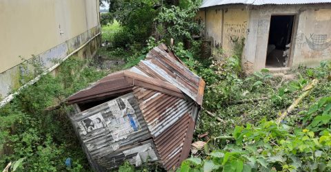 কুলাউড়া ভুকশিমইলে গভীর রাতে পোল্ট্রির দোকানে অগ্নিসংযোগ