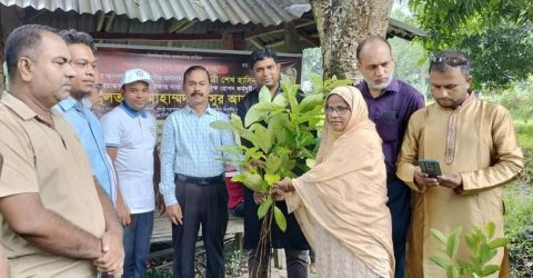 কুলাউড়ায় দুইশ শিক্ষাপ্রতিষ্ঠান পেলো প্রধানমন্ত্রী শেখ হাসিনা কর্তৃক বরাদ্দকৃত ৫ হাজার গাছের চারা