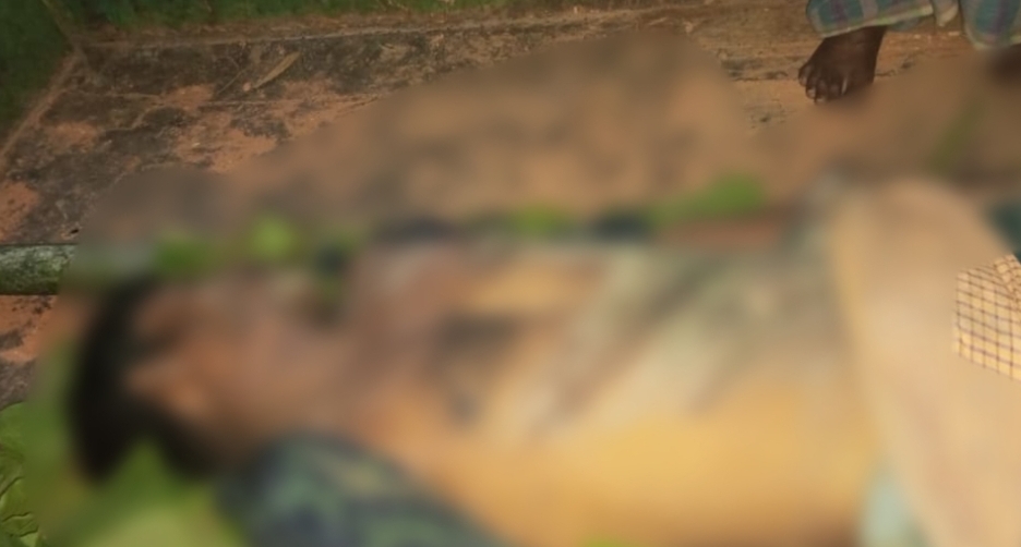 জুড়ীতে উন্মাদ হাতির আক্রমণে প্রাণ হারালেন হাতির মাহুত