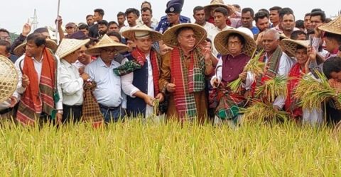 কৃষি যান্ত্রিকরণে বোরো উৎপাদন বেড়েছে: কৃষিমন্ত্রী