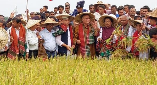 কৃষি যান্ত্রিকরণে বোরো উৎপাদন বেড়েছে: কৃষিমন্ত্রী