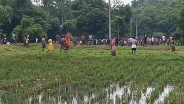 জগন্নাথপুরে জমি সংক্রান্ত বিরোধের জেরে দুপক্ষের সংর্ঘষে নিহত ১, আহত ২০