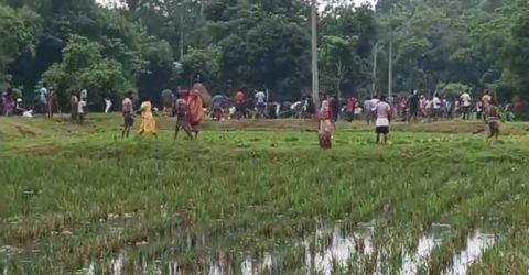 জগন্নাথপুরে জমি সংক্রান্ত বিরোধের জেরে দুপক্ষের সংর্ঘষে নিহত ১, আহত ২০
