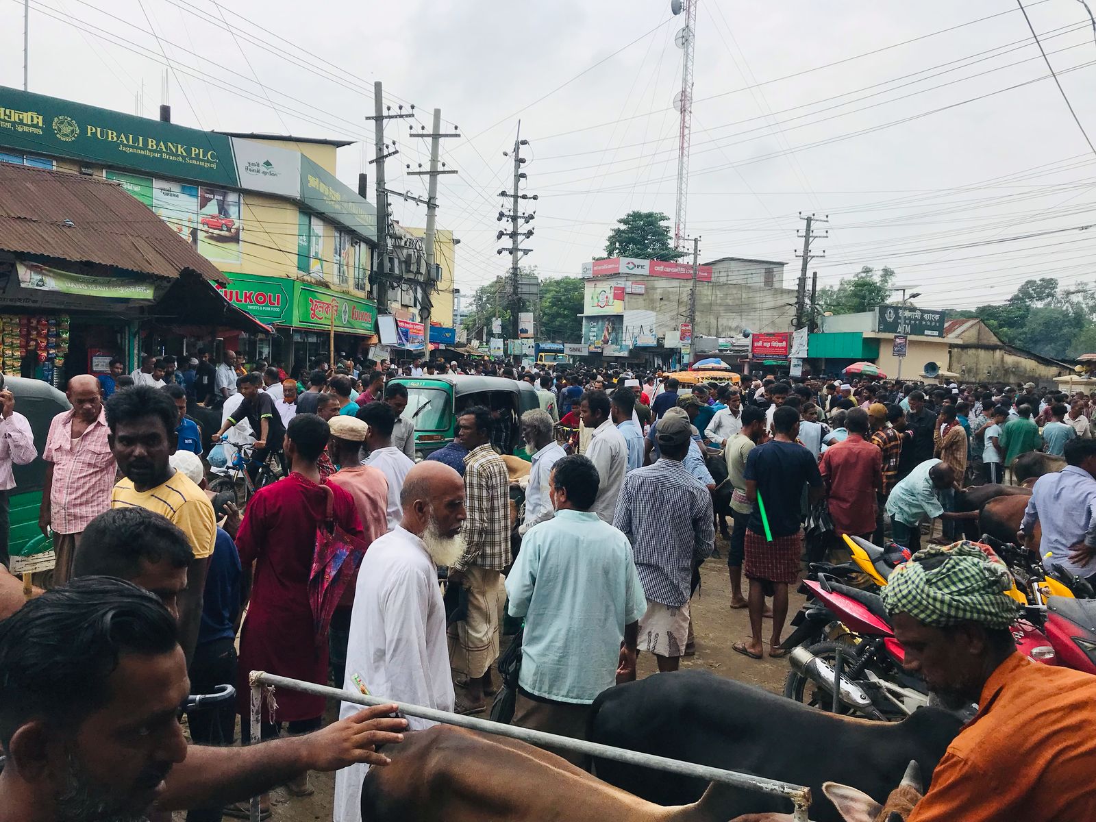 খামারি ও কৃষকের গরুর প্রভাব… মহাসড়কে কোরবানির হাট,দিনভর দুর্ভোগ