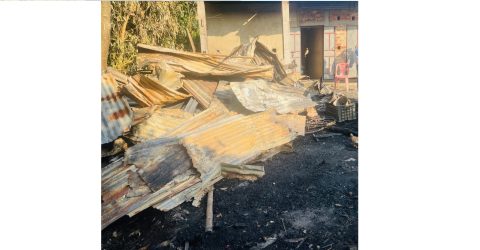 জগন্নাথপুরে দুর্বৃত্তের আগুনে পুড়ল তিনটি গবাদিপশু