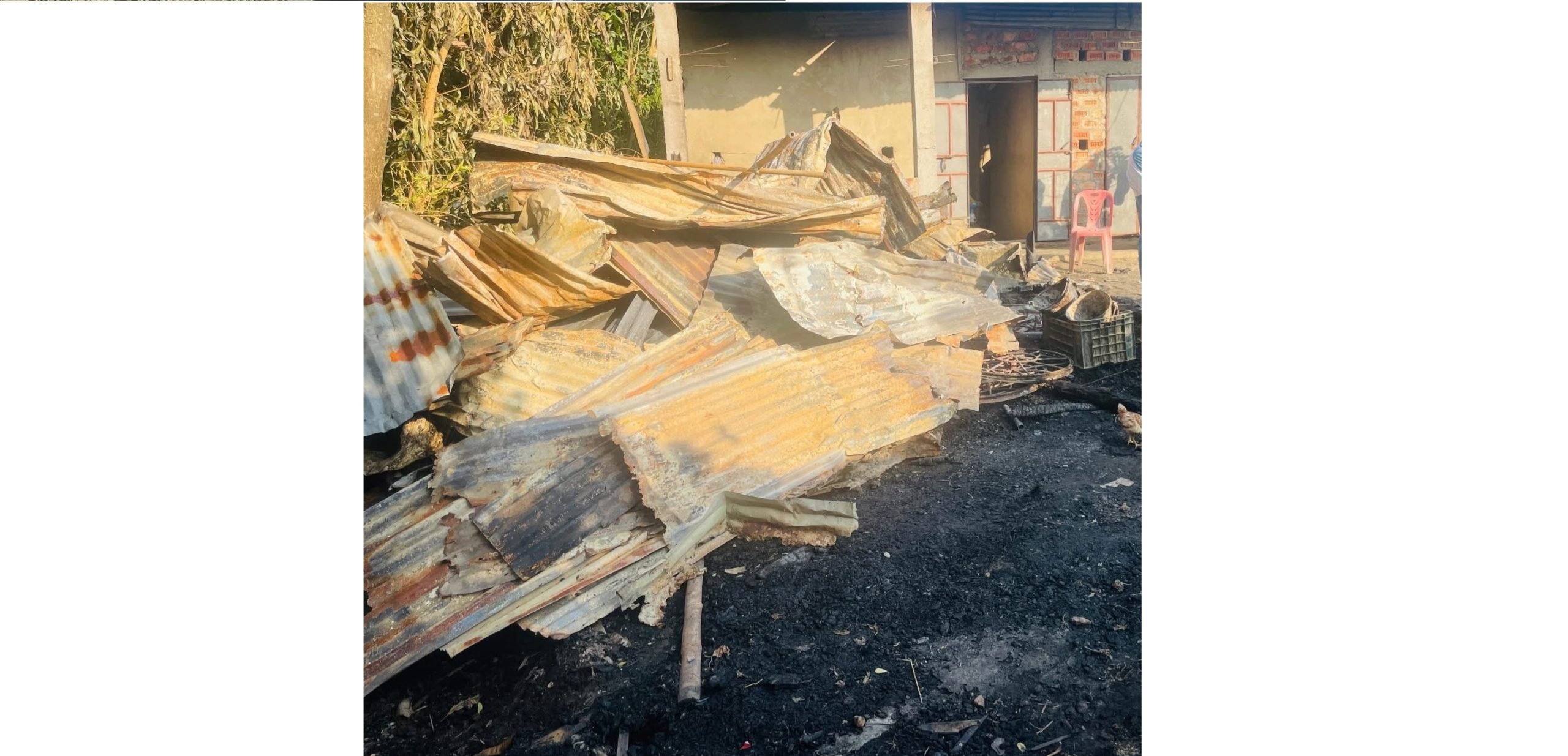 জগন্নাথপুরে দুর্বৃত্তের আগুনে পুড়ল তিনটি গবাদিপশু