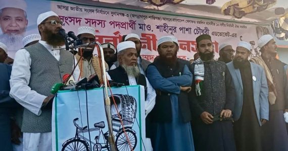 জগন্নাথপুরে মামুনুল হক-ইনসাফের বাংলাদেশ গড়তে পাশাকে রিকশায় ভোট দিন