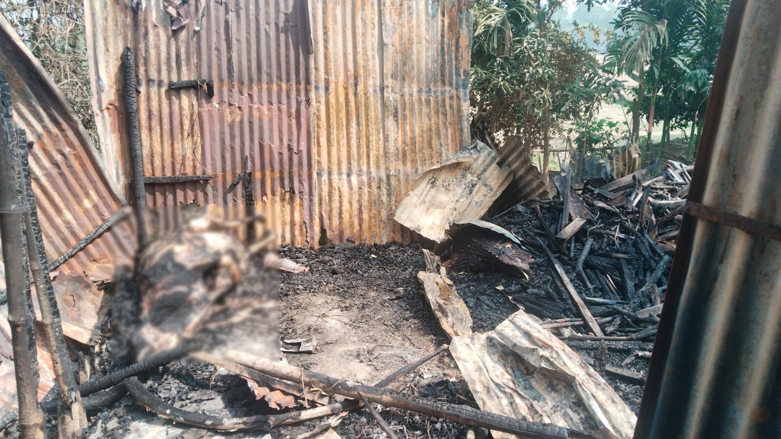 গভীর রাতে গোয়াল ঘরে আগুন, পুড়ে মরল কৃষকের ৬টি গরু