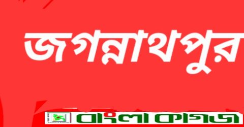 জগন্নাথপুরে প্রাথমিক শিক্ষা পদকে মনোনীত হলেন যারা