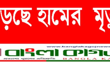 হামের প্রকোপ অস্বাভাবিকভাবে বৃদ্ধি পেয়েছে