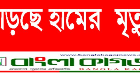 হামের প্রকোপ অস্বাভাবিকভাবে বৃদ্ধি পেয়েছে
