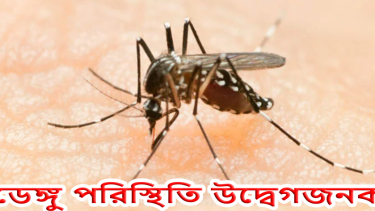দেশজুড়ে ডেঙ্গু পরিস্থিতি উদ্বেগজনক, সতর্কতা জোরদারের আহ্বান স্বাস্থ্য বিশেষজ্ঞদের