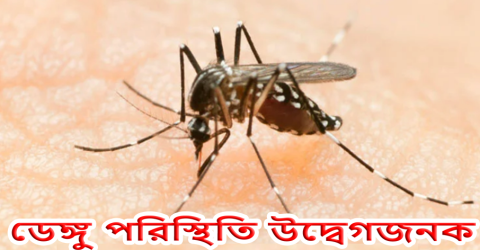 দেশজুড়ে ডেঙ্গু পরিস্থিতি উদ্বেগজনক, সতর্কতা জোরদারের আহ্বান স্বাস্থ্য বিশেষজ্ঞদের