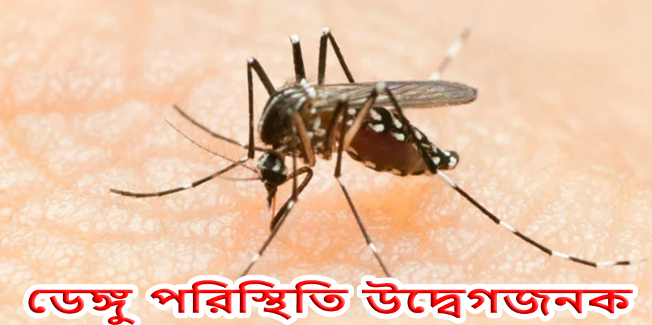 দেশজুড়ে ডেঙ্গু পরিস্থিতি উদ্বেগজনক, সতর্কতা জোরদারের আহ্বান স্বাস্থ্য বিশেষজ্ঞদের